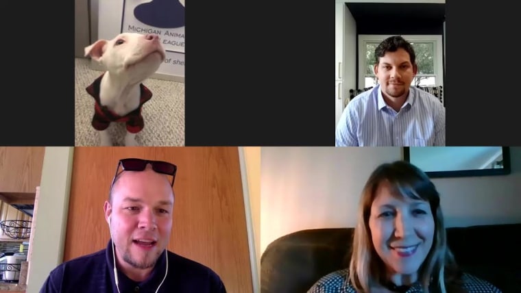 A pit bull participates in a Zoom meeting.