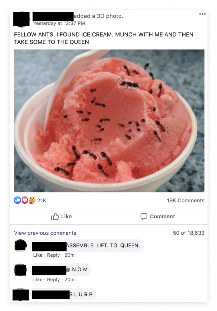 Image: A post in a Facebook group shows a photo of ants crawling on a cup of ice with comments from members.