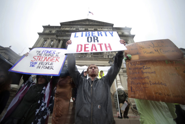 Image: Protesters in Michigan