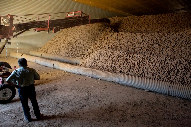Image: Frank Martinez watches machinery pile potatoes at a storage facility at Saddle View Farms in Warden, Wash., on May 1, 2020. Washington state has a surplus of potatoes after demand plummeted during coronavirus.