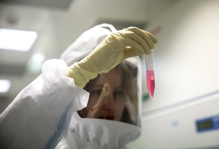 Coronavirus Research Work at The Pasteur Institute