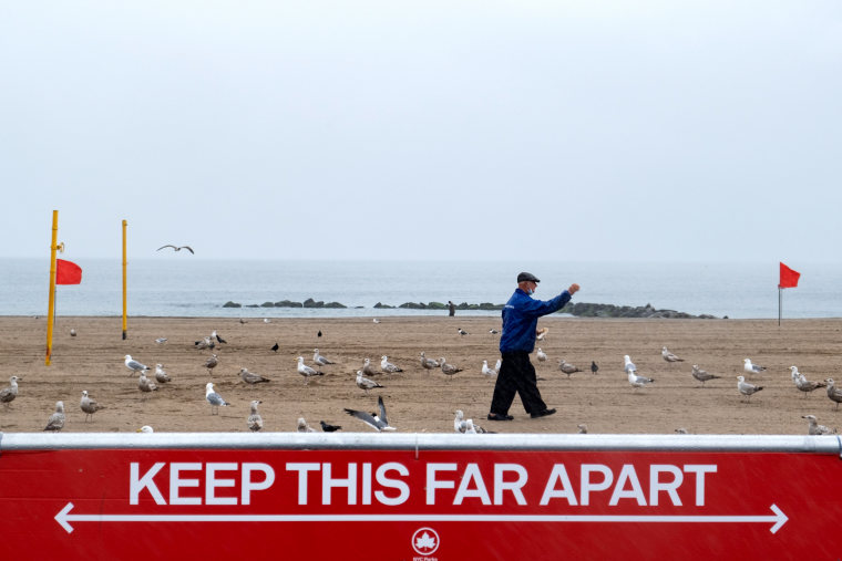 Image: A man feeds seagulls at an empty Coney Island beach in Brooklyn, N.Y., on May 23.