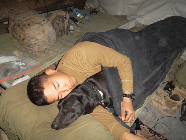 A soldier snuggles with his military dog at night.