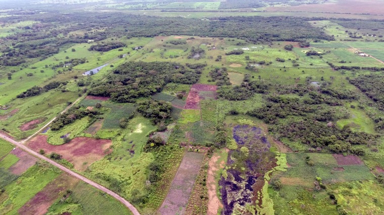 An aerial view of the Aguada Fenix site. The hidden Mayan platform, at the top of this photograph, is so large that it cannot be seen at ground level.