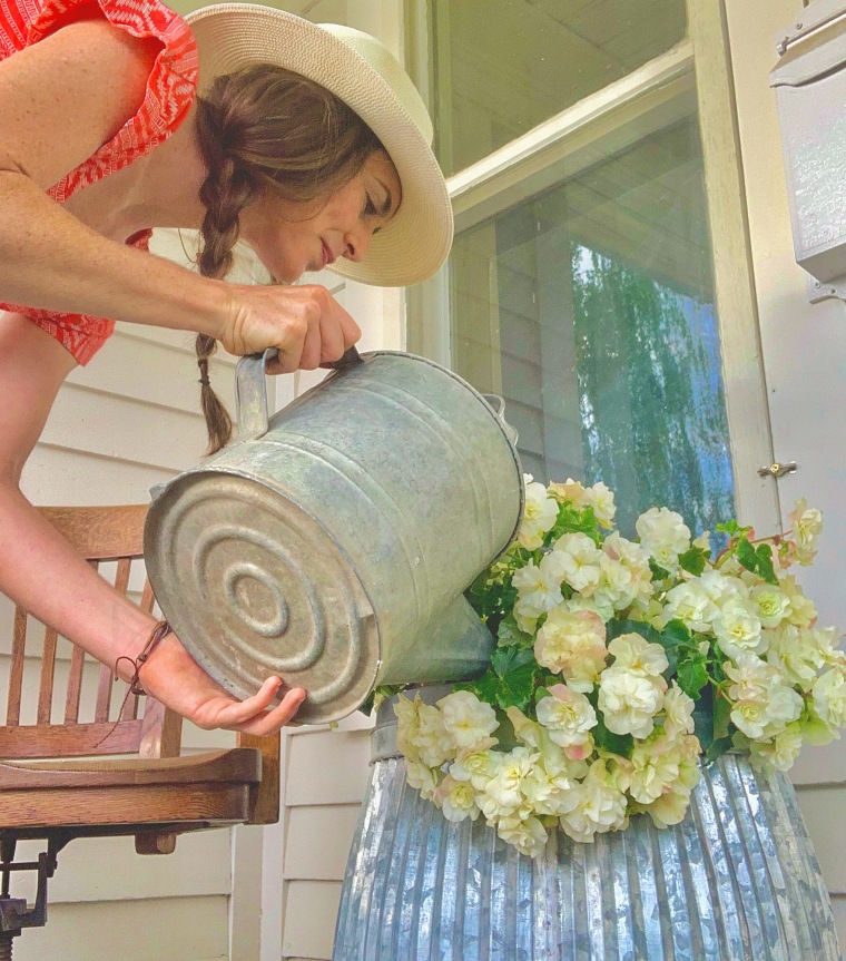 watering flowers