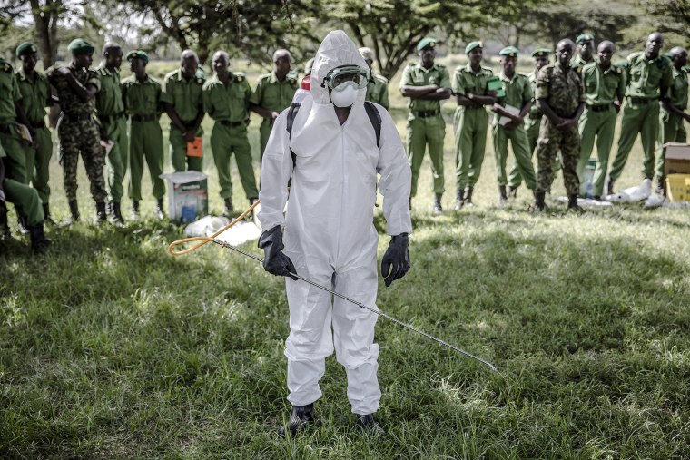 Image: Locust control in Kenya