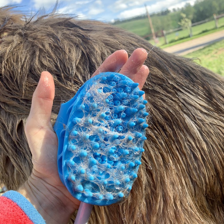 Aquapaw covered in dog hair