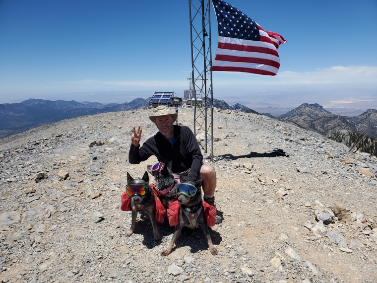 Tim Livesey holds three fingers with three dogs on a mountain peak.