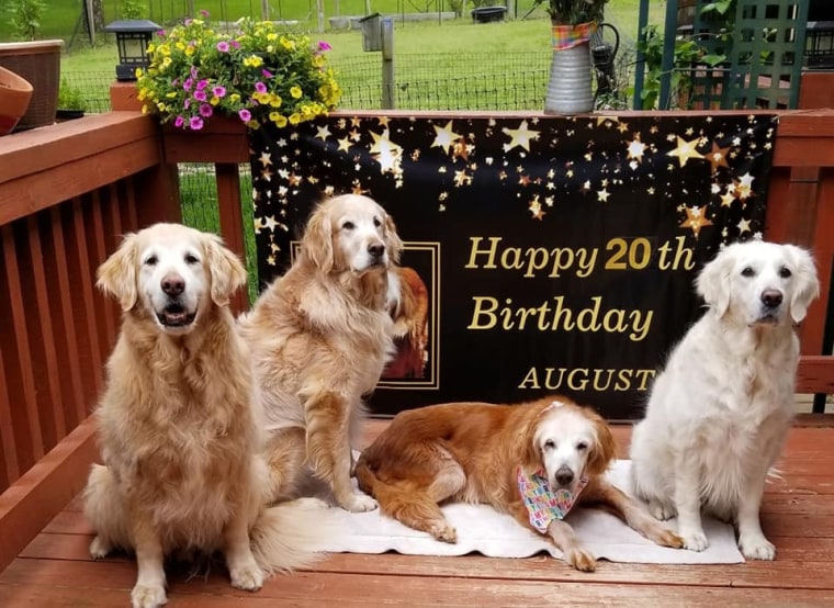 The family owns several other pets, giving August plenty of company. 