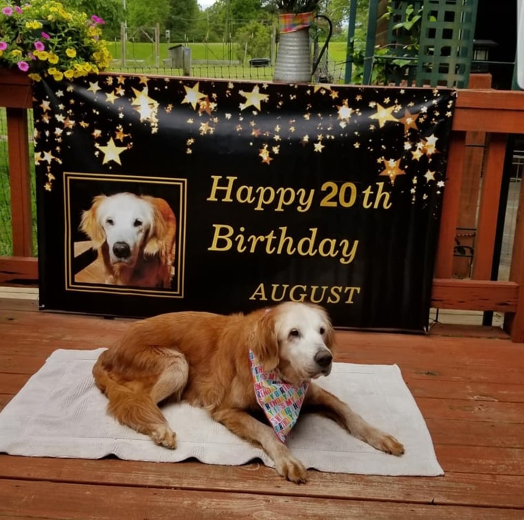 August celebrated turning 20 with a banner and dog-friendly cake.