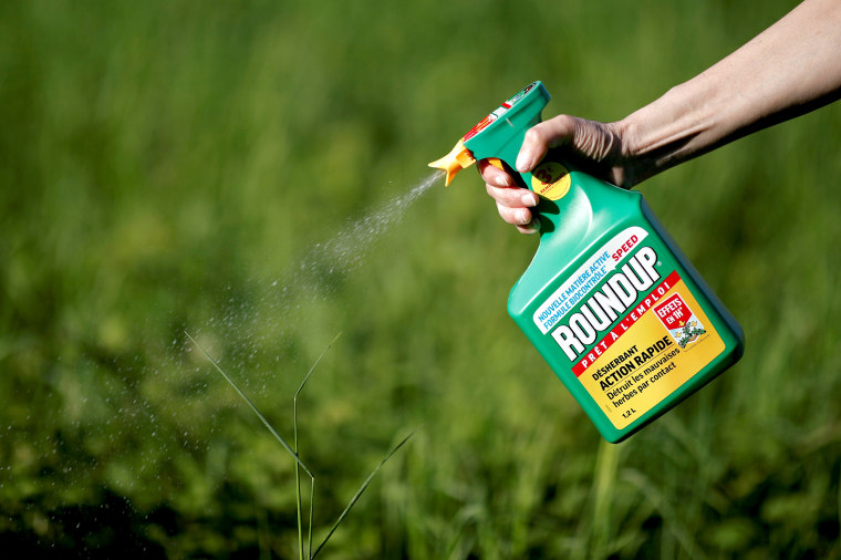 Image: FILE PHOTO: A woman uses a Monsanto's Roundup weedkiller spray without glyphosate in a garden in Ercuis near Paris
