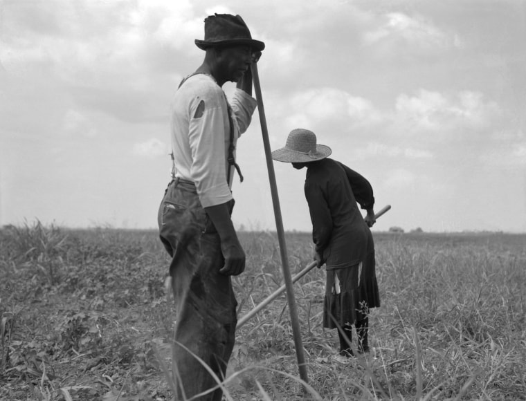 Image: Cotton sharecroppers