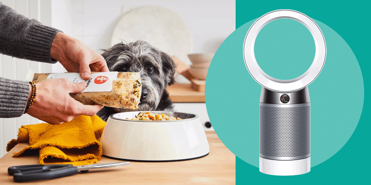 The Farmer's Dog Food and Dyson Pure Cool DP04-HEPA Air Purifier and Fan