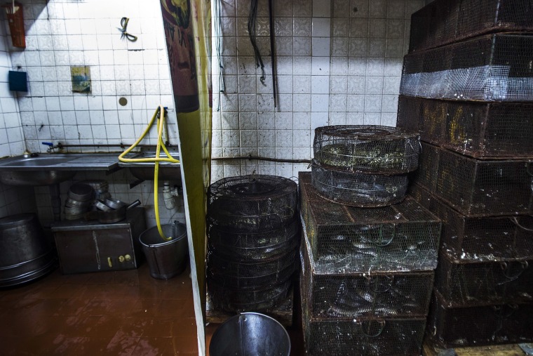 Image: Cages filled with snakes in the kitchen of the She Wong Lam snake store and restaurant in the Sheung Wan district of Hong Kong, China.
