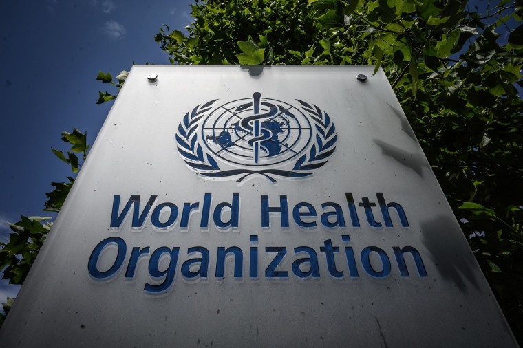 The World Health Organization headquarters headquarters in Geneva.
