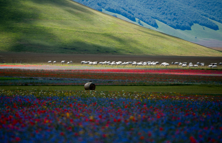 Image: Italy