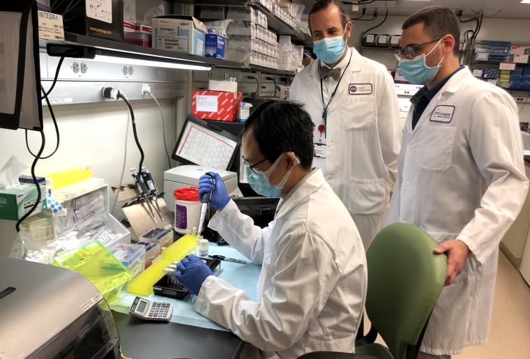 Pathologist and scientists at inside the molecular laboratory of NYU's Langone Medical Center test tissue samples of potentially missed Covid-19 cases, on July 10, 2020.