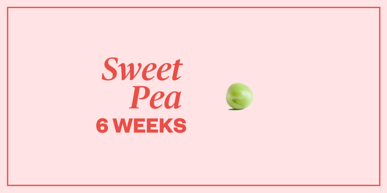 Pregnancy Symptoms Week By Week: Guide to Pregnancy Stages