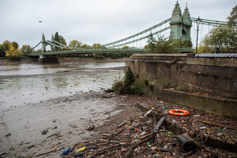 Image: Plastic waste on the banks of the River Thames