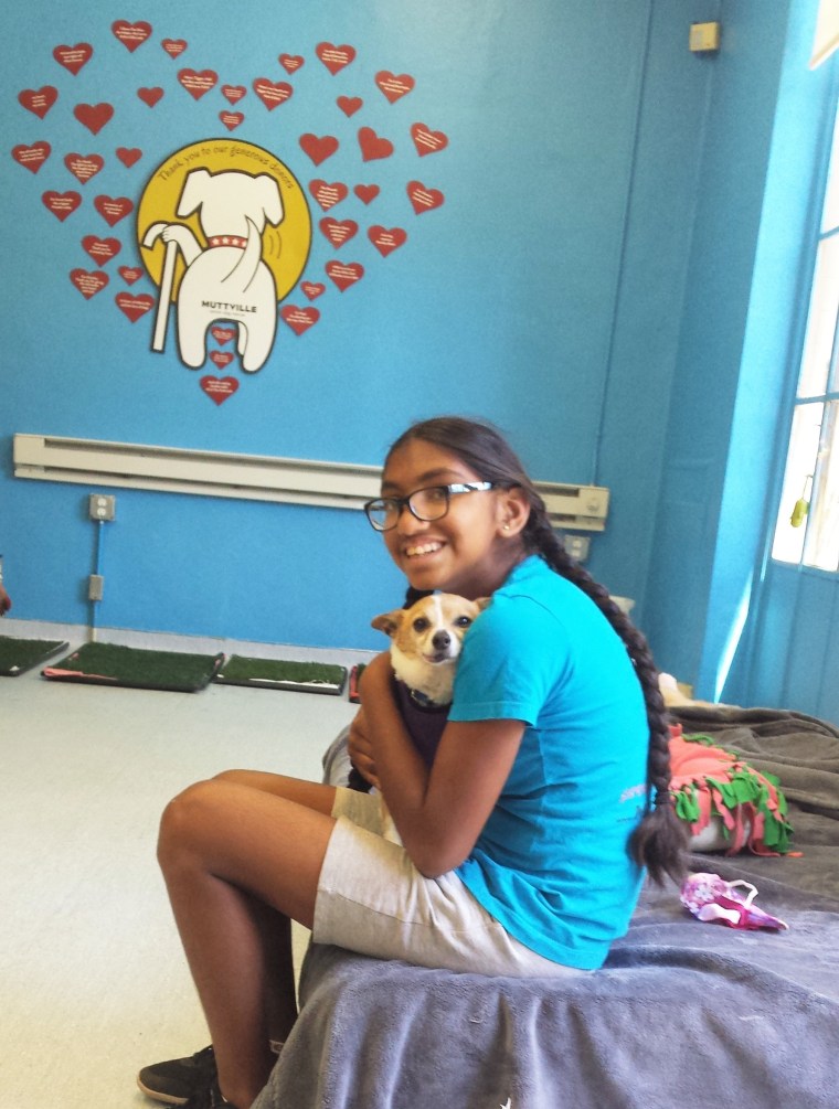 Meena Kumar snuggles a dog at Muttville Senior Dog Rescue.