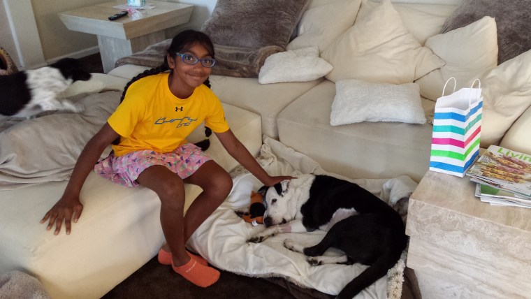 Meena Kumar comforts an aging dog.