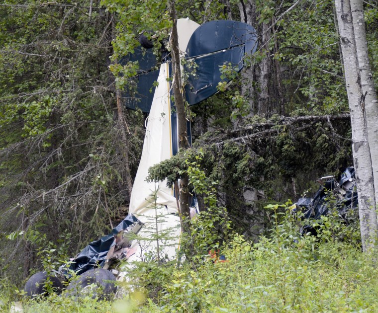Image: Gary Knopp plane crash