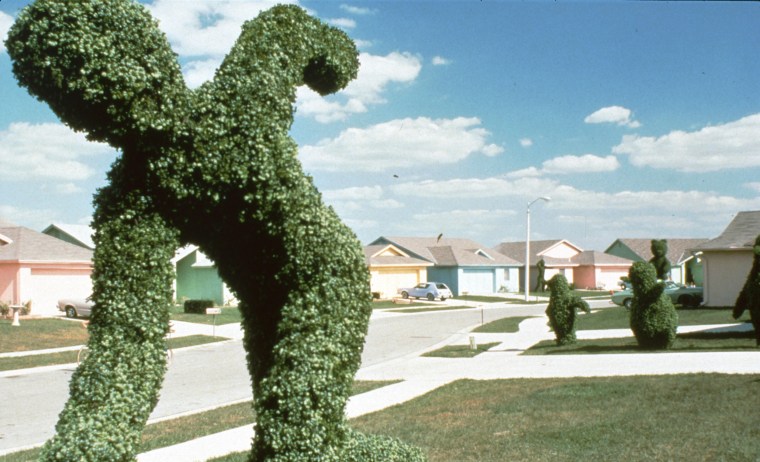 Edward Scissorhands house for sale