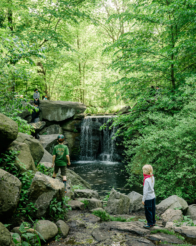 Taking a hike can be part of science class when parents road school. 