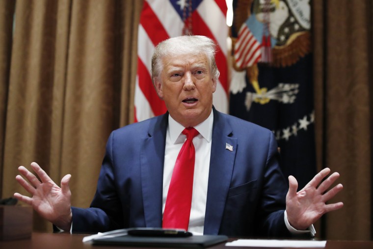 President Donald Trump speaks during a meeting at the White House on Aug. 3, 2020.