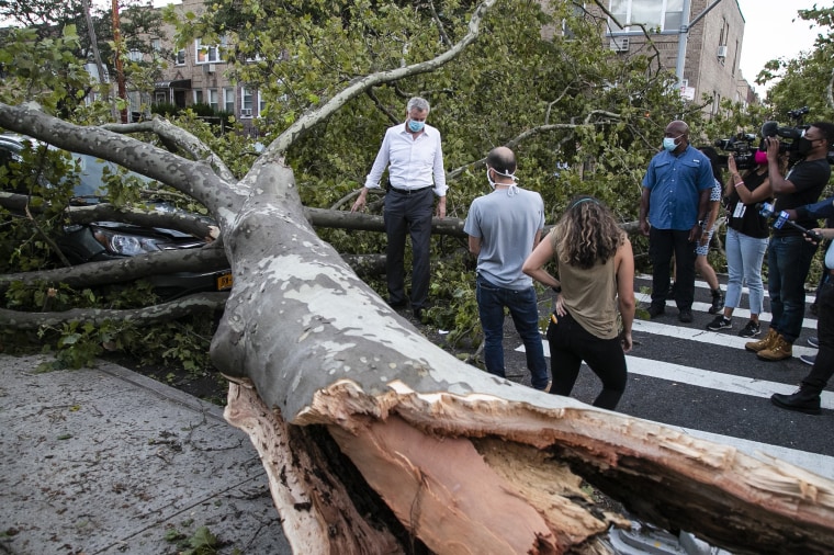 Image: Bill de Blasio