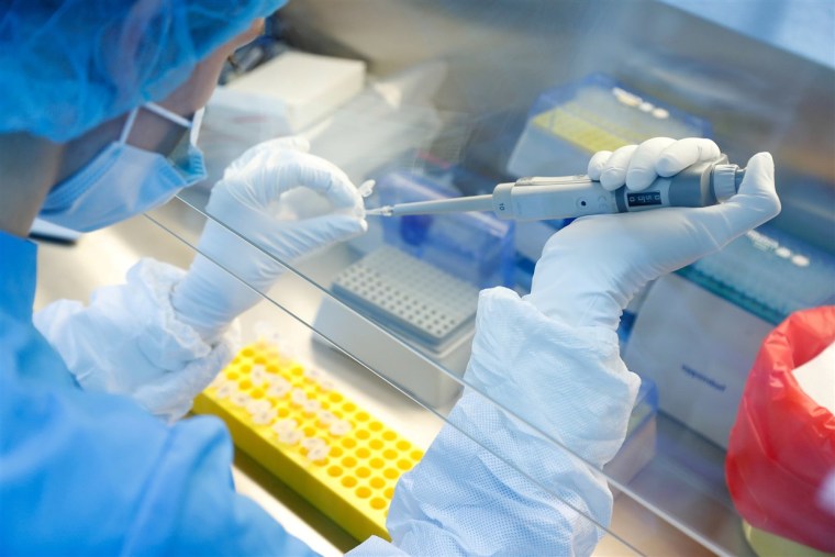 A scientist prepares samples during the research and development of a vaccine against the coronavirus disease at a laboratory in Saint Petersburg, Russia.