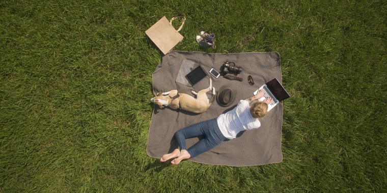 Bird's eye view of woman lying on blanket on meadow with dog using laptop