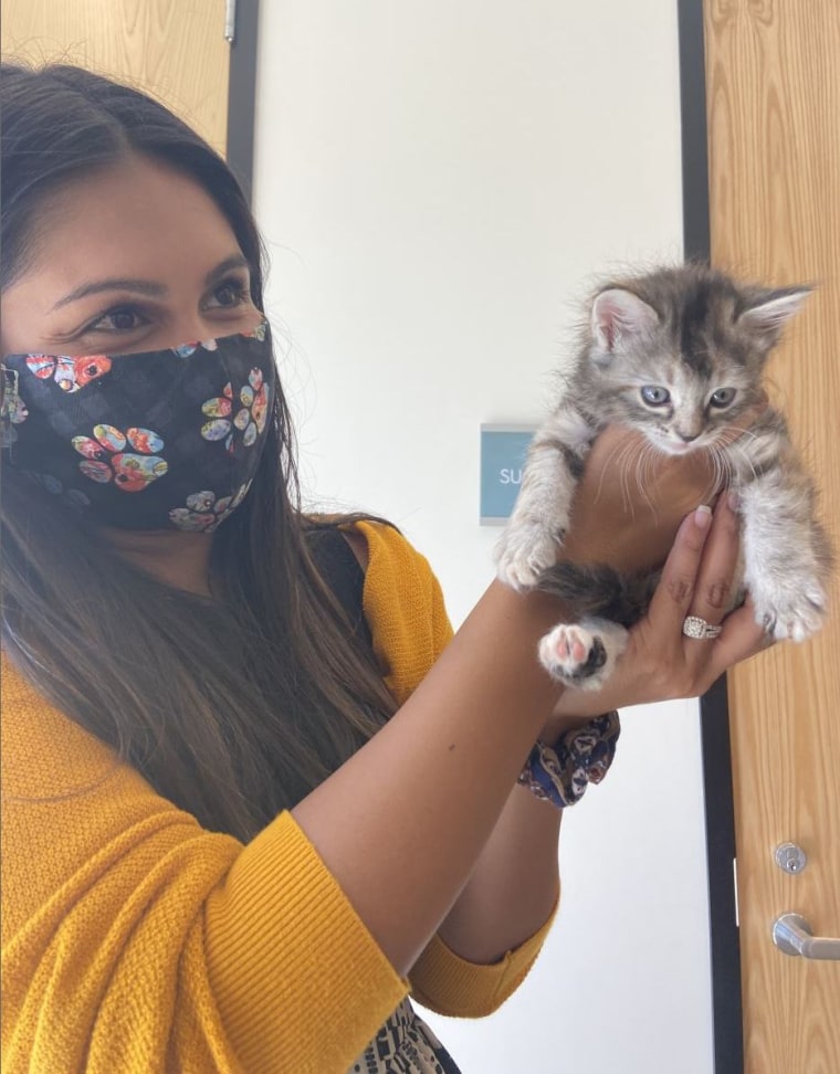 A masked woman holds a kitten.
