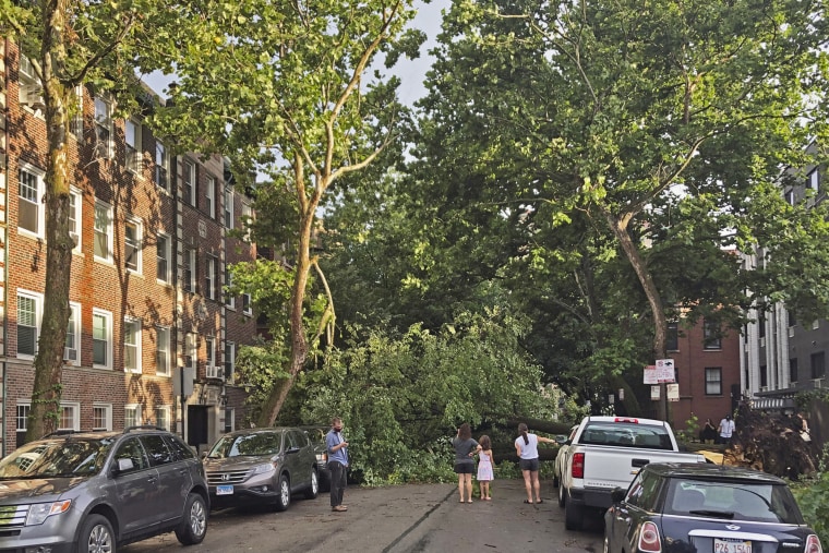 A downed tree blocks a roadway in Chicago's Lakeview neighborhood on Monday, Aug. 10, 2020. A rare storm packing 100 mph winds and with power similar to an inland hurricane swept across the Midwest on Monday, blowing over trees, flipping vehicles, causing widespread property damage, and leaving hundreds of thousands without power as it moved through Chicago and into Indiana and Michigan.