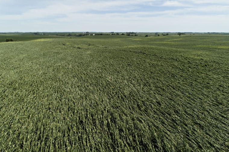 Image: Powerful Derecho Causes Widespread Damage Across Iowa Farmland