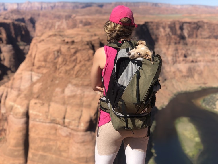 Dog vacation Grand Canyon pet travel