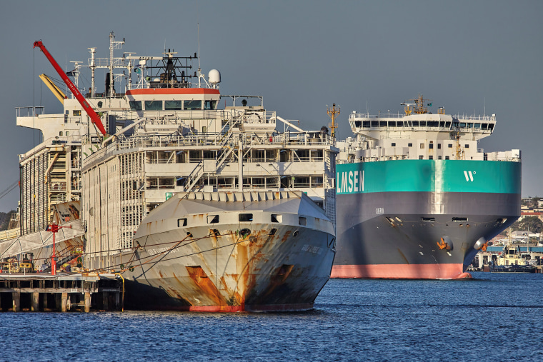Image: The Gulf Livestock 1 at Fremantle Harbour in Western Australia