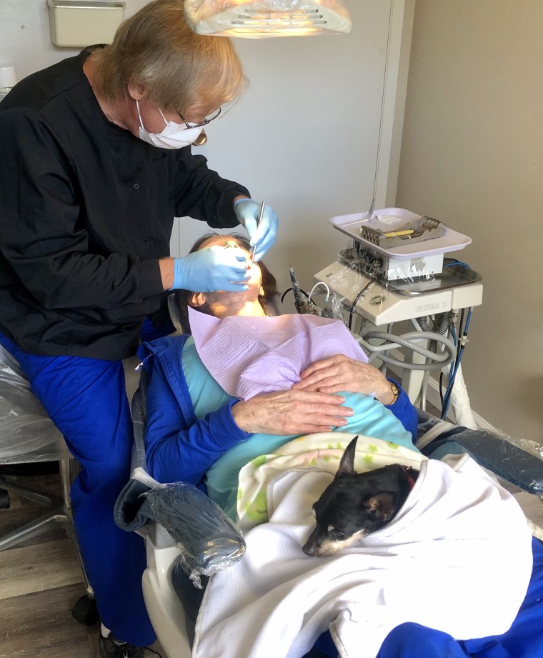 Kismet rests on a patient's lap during a dental exam.