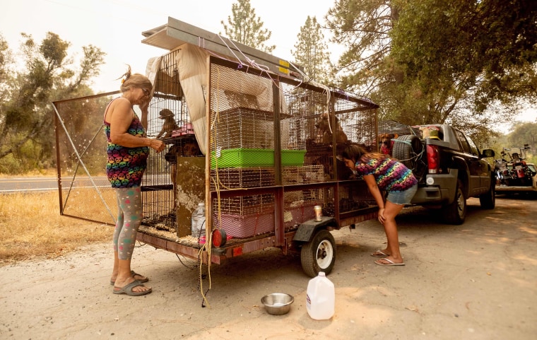 Image: Annette Smart (L) and her granddaughter Malina Sandoval, 10, check on their animals while evacuating during the Creek fire in the North Fork area of unincorporated Madera County, California