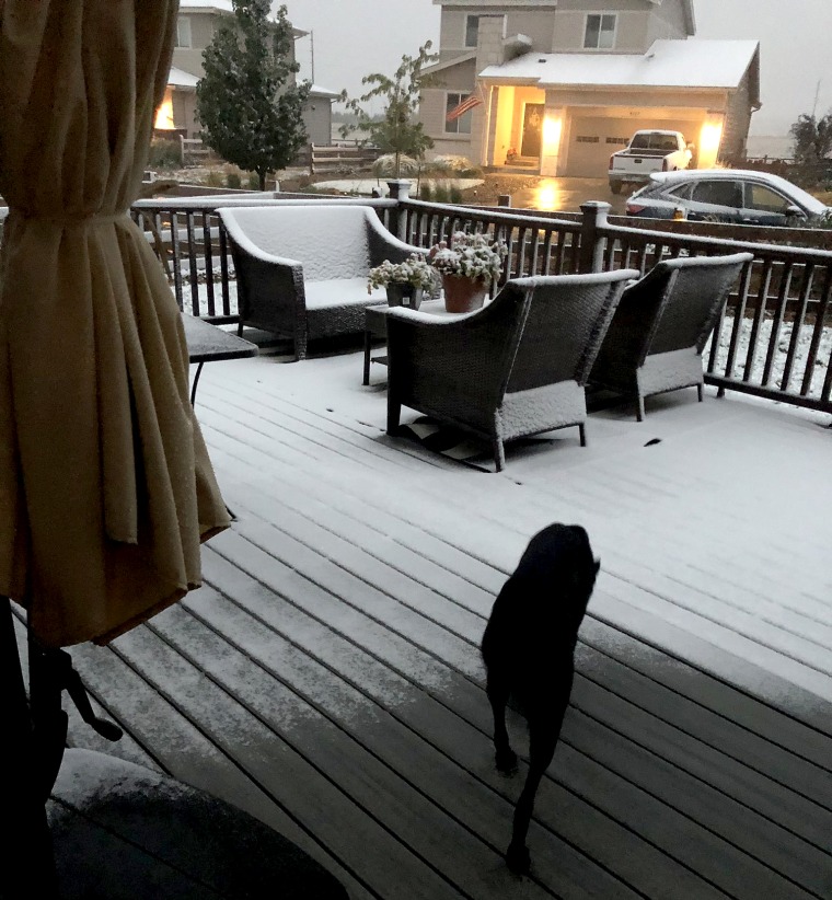 IMAGE: Snow in Arvada, Colo.