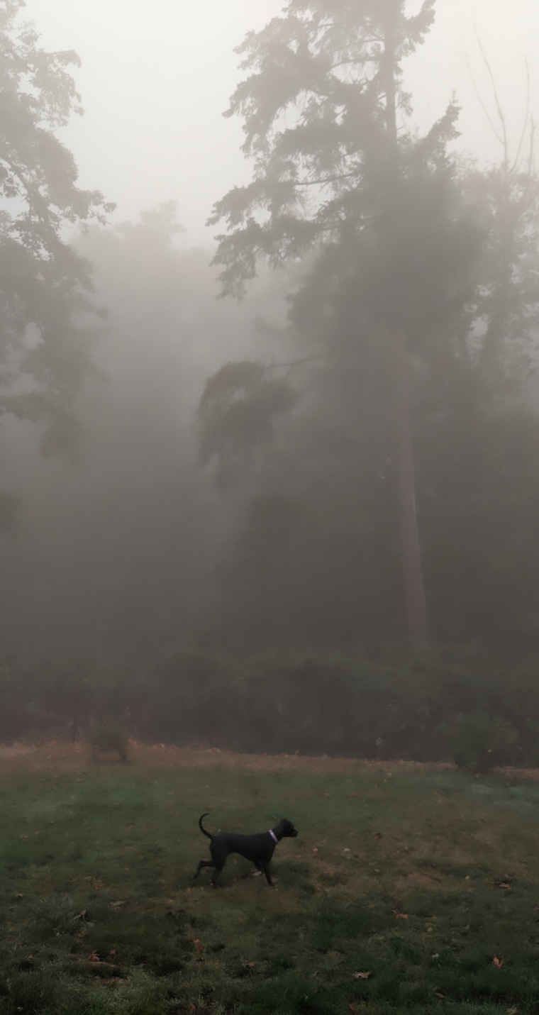 Smoke from Oregon fires fills a backyard.