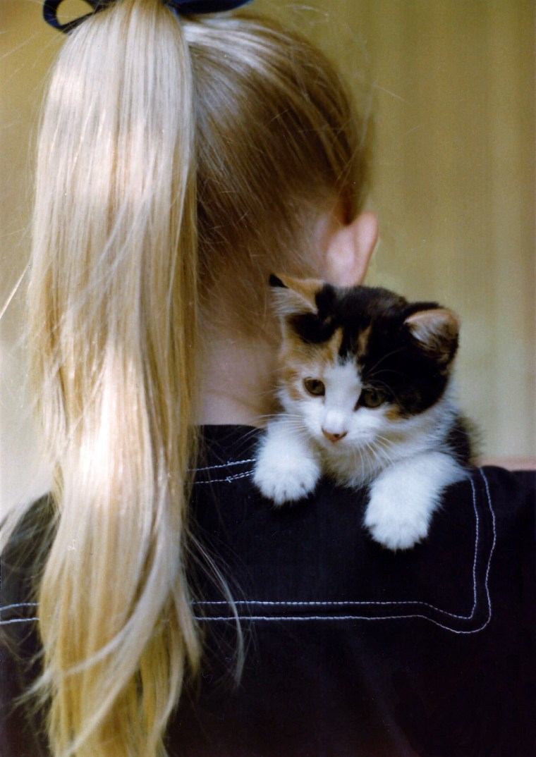 A girl with blond hair carries a calico kitten.