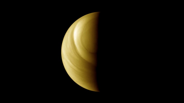Image: Venus