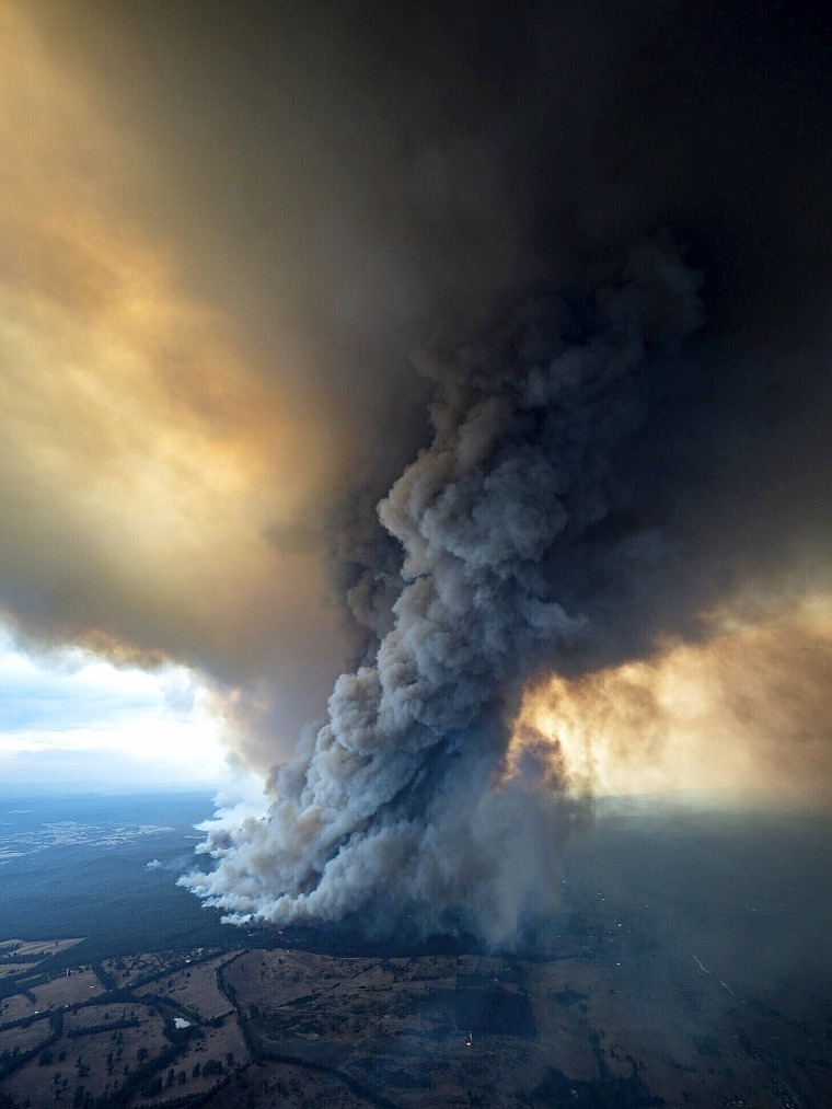 Australian wildfires declared among the 'worst wildlife disasters in ...