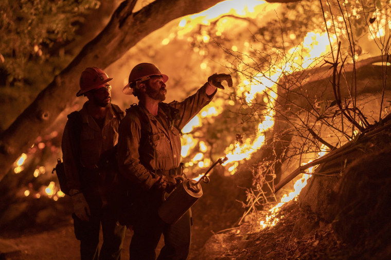 Image: Bobcat Fire Burns East Of Los Angeles