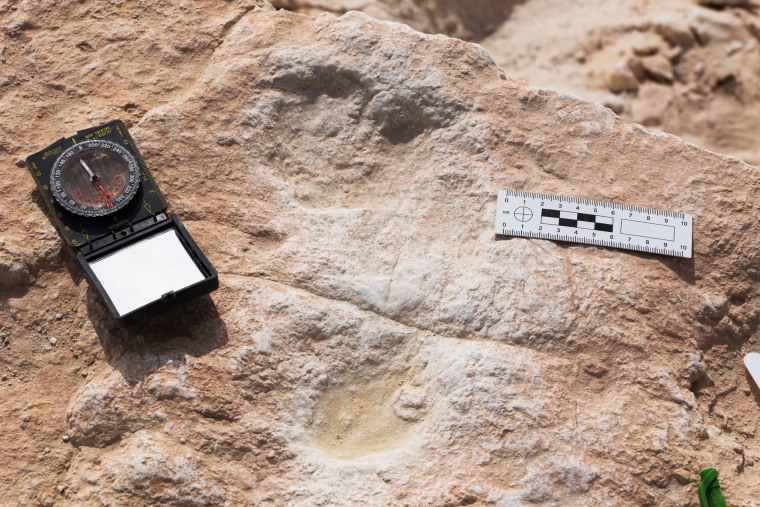 Image: First human footprint