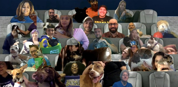 A screenshot of 30 adoptable pets and their fosters in virtual courtside seats.