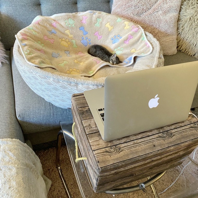 A tiny kitten sleeps in a huge dog bed.