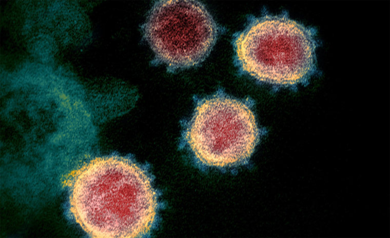 Image: coronavirus
