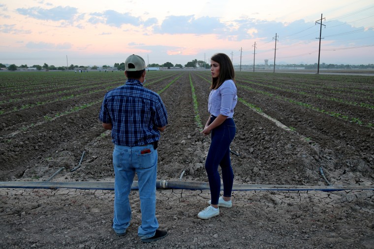 Telemundo's Nicole Suarez speaks with a melon field foreman on a farm along the Arizona/California border.